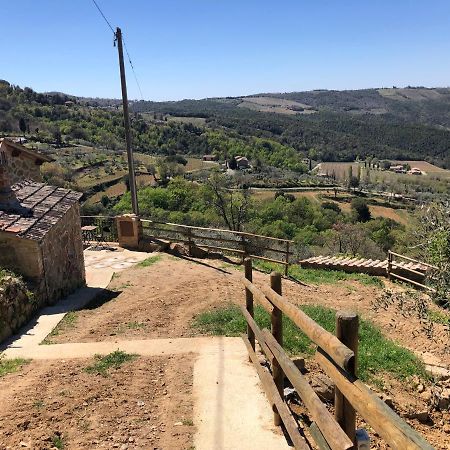Podere Soccorso Casa Vigneto Montalcino Extérieur photo