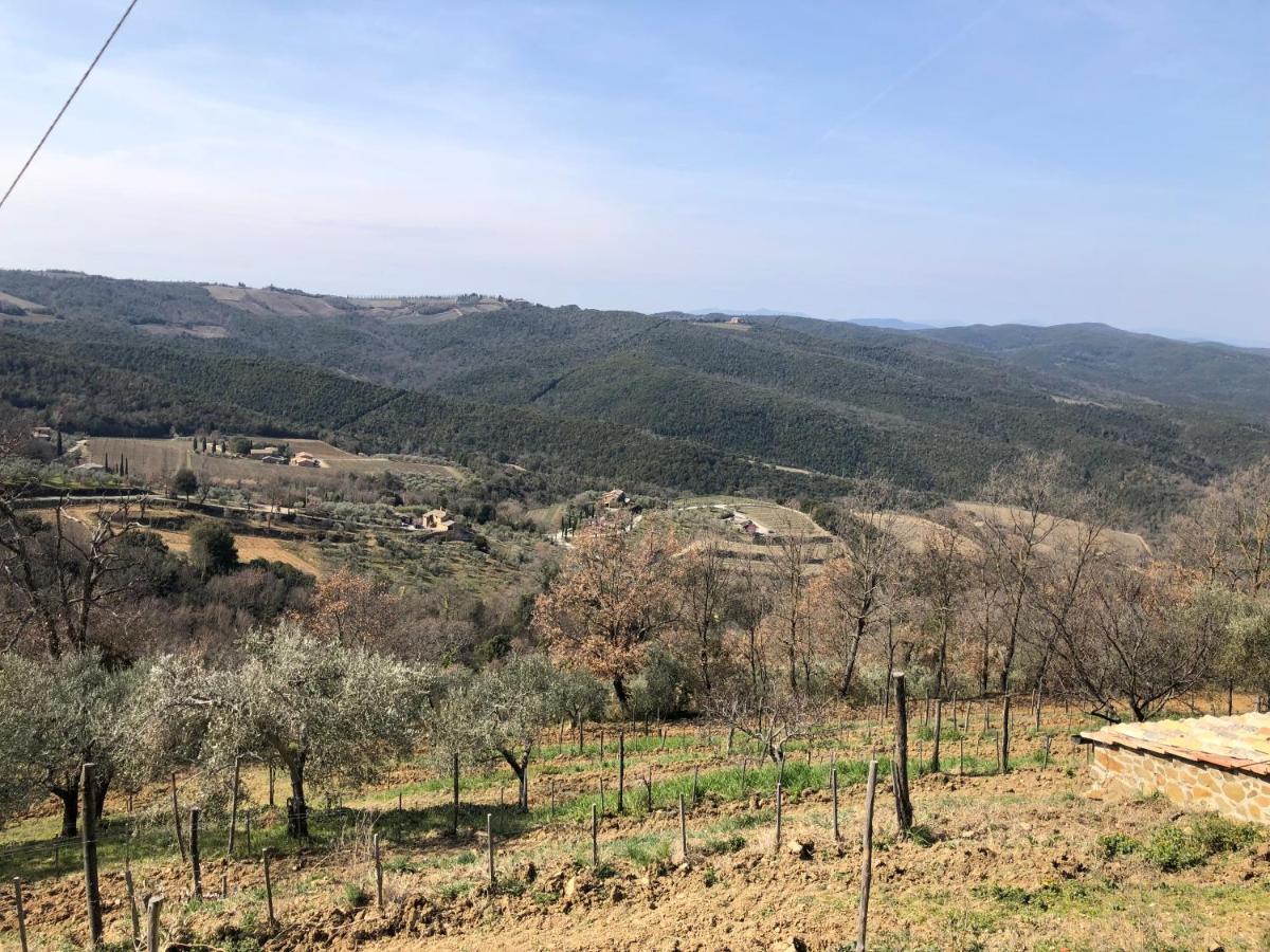 Podere Soccorso Casa Vigneto Montalcino Extérieur photo