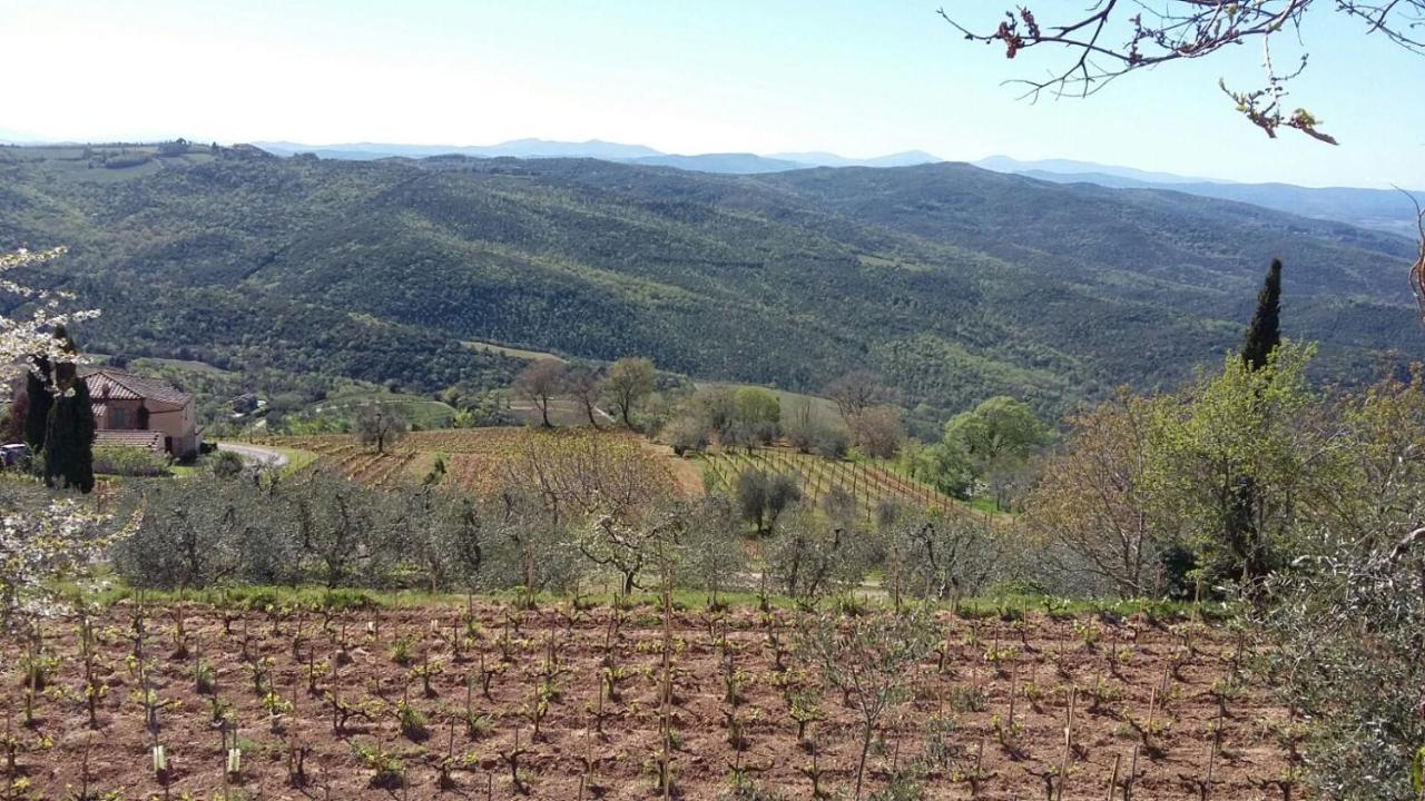 Podere Soccorso Casa Vigneto Montalcino Extérieur photo